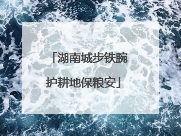 湖南城步铁腕护耕地保粮安