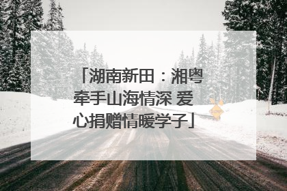 湖南新田：湘粤牵手山海情深 爱心捐赠情暖学子