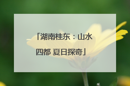 湖南桂东：山水四都 夏日探奇