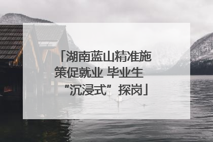 湖南蓝山精准施策促就业 毕业生“沉浸式”探岗