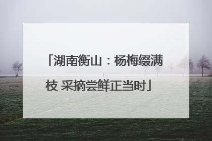 湖南衡山：杨梅缀满枝 采摘尝鲜正当时