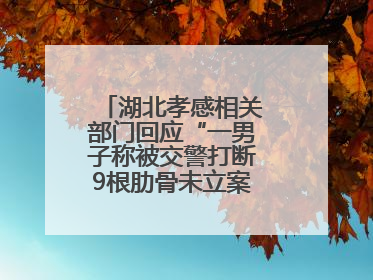 湖北孝感相关部门回应“一男子称被交警打断9根肋骨未立案”：已成立联合专班开展工作