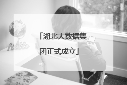 湖北大数据集团正式成立
