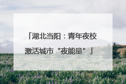 湖北当阳：青年夜校激活城市“夜能量”