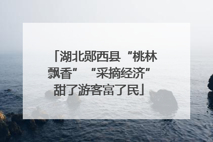 湖北郧西县“桃林飘香”“采摘经济”甜了游客富了民