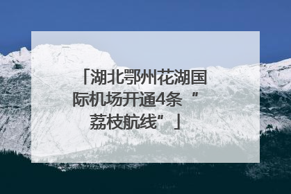 湖北鄂州花湖国际机场开通4条“荔枝航线”