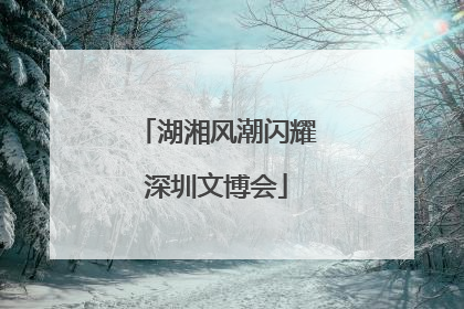 湖湘风潮闪耀深圳文博会