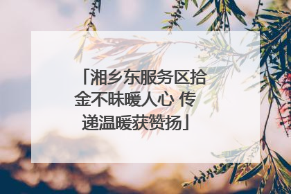 湘乡东服务区拾金不昧暖人心 传递温暖获赞扬