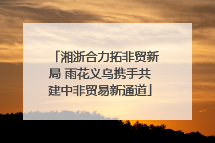 湘浙合力拓非贸新局 雨花义乌携手共建中非贸易新通道