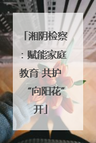 湘阴检察：赋能家庭教育 共护“向阳花”开