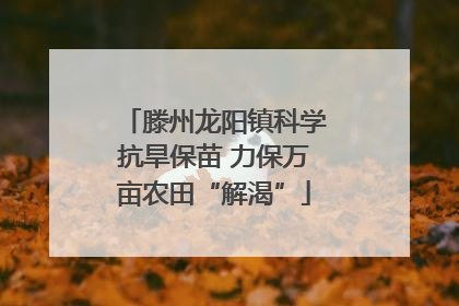 滕州龙阳镇科学抗旱保苗 力保万亩农田“解渴”