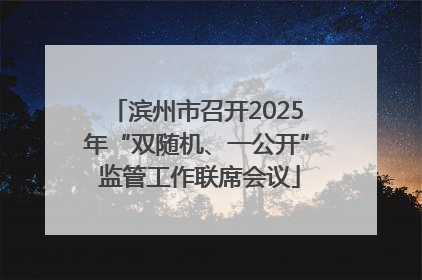 滨州市召开2025年“双随机、一公开” 监管工作联席会议