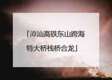 漳汕高铁东山跨海特大桥栈桥合龙