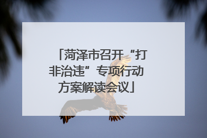 菏泽市召开“打非治违”专项行动方案解读会议