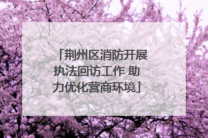 荆州区消防开展执法回访工作 助力优化营商环境