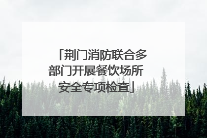 荆门消防联合多部门开展餐饮场所安全专项检查