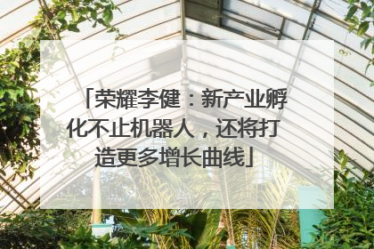 荣耀李健：新产业孵化不止机器人，还将打造更多增长曲线