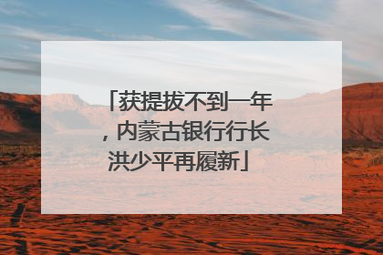 获提拔不到一年，内蒙古银行行长洪少平再履新