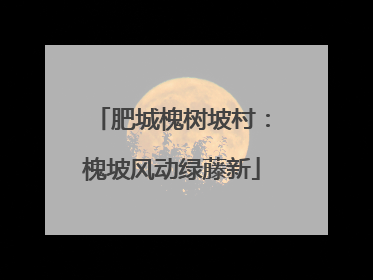 肥城槐树坡村：槐坡风动绿藤新