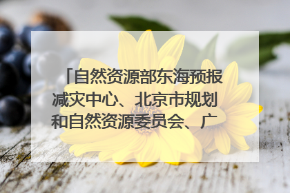 自然资源部东海预报减灾中心、北京市规划和自然资源委员会、广东省林业系统等正在招聘｜招聘信息
