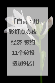 自贡：用彩灯点亮夜经济 签约11个总投资超9亿