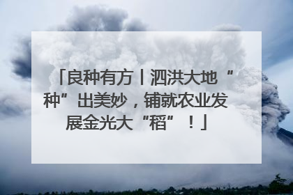 良种有方丨泗洪大地“种”出美妙，铺就农业发展金光大“稻”！