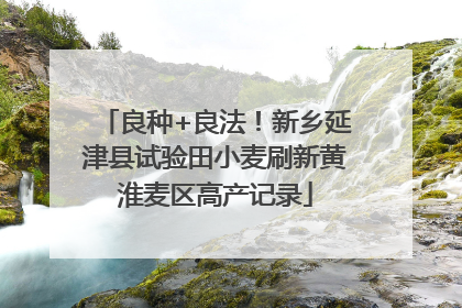 良种+良法！新乡延津县试验田小麦刷新黄淮麦区高产记录