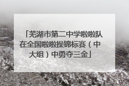 芜湖市第二中学啦啦队在全国啦啦操锦标赛（中大组）中勇夺三金
