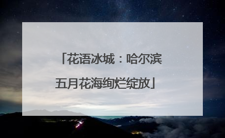 花语冰城：哈尔滨五月花海绚烂绽放