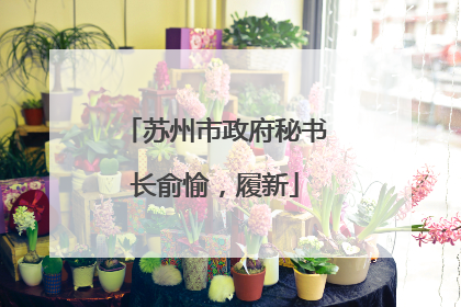 苏州市政府秘书长俞愉，履新