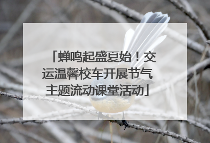 蝉鸣起盛夏始！交运温馨校车开展节气主题流动课堂活动