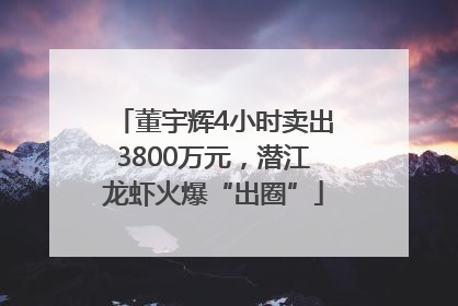 董宇辉4小时卖出3800万元，潜江龙虾火爆“出圈”