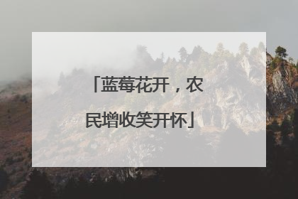 蓝莓花开，农民增收笑开怀