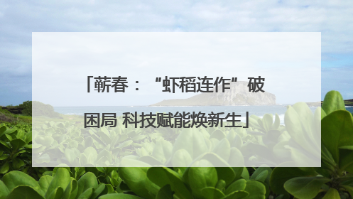 蕲春：“虾稻连作”破困局 科技赋能焕新生