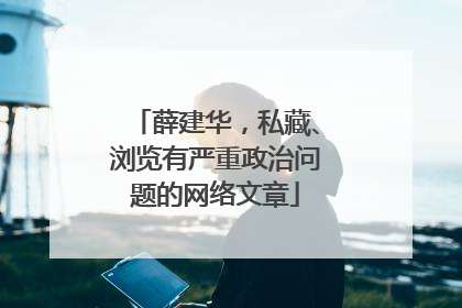薛建华，私藏、浏览有严重政治问题的网络文章