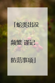 蛇类出没频繁 谨记防范事项