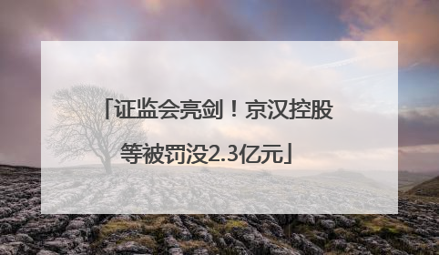 证监会亮剑！京汉控股等被罚没2.3亿元
