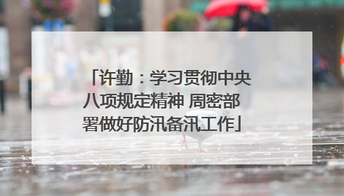 许勤：学习贯彻中央八项规定精神 周密部署做好防汛备汛工作
