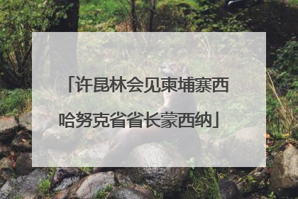 许昆林会见柬埔寨西哈努克省省长蒙西纳