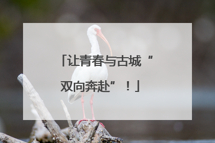 让青春与古城“双向奔赴”!