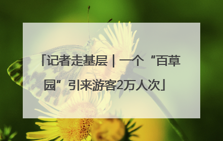 记者走基层｜一个“百草园”引来游客2万人次