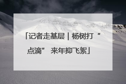 记者走基层｜杨树打“点滴” 来年抑飞絮