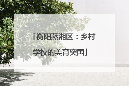 衡阳蒸湘区：乡村学校的美育突围