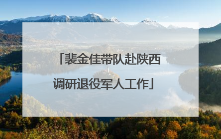 裴金佳带队赴陕西调研退役军人工作