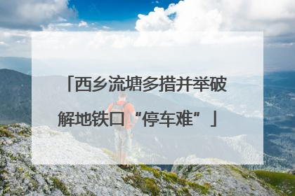 西乡流塘多措并举破解地铁口“停车难”