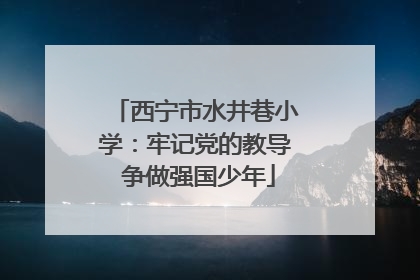 西宁市水井巷小学：牢记党的教导 争做强国少年