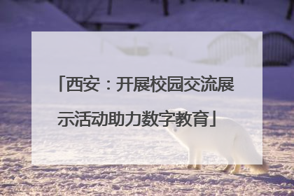 西安：开展校园交流展示活动助力数字教育