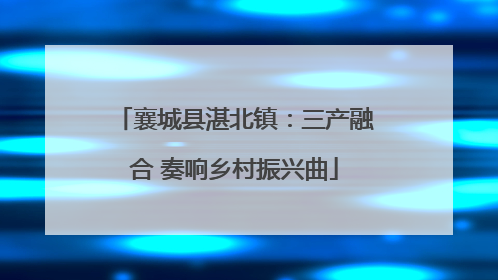 襄城县湛北镇：三产融合 奏响乡村振兴曲