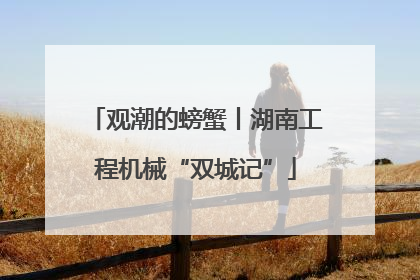 观潮的螃蟹丨湖南工程机械“双城记”