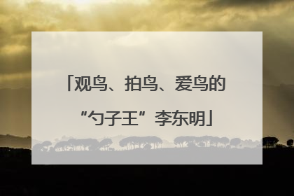 观鸟、拍鸟、爱鸟的“勺子王”李东明